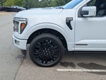 2025 F-150 Thumbnail 11