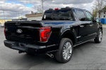 2024 F-150 Thumbnail 10