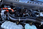 2024 F-150 Thumbnail 33