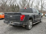 2024 F-150 Thumbnail 6