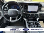 2025 F-150 Thumbnail 15