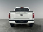 2025 F-150 Thumbnail 7