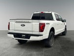 2025 F-150 Thumbnail 8