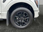 2025 F-150 Thumbnail 10