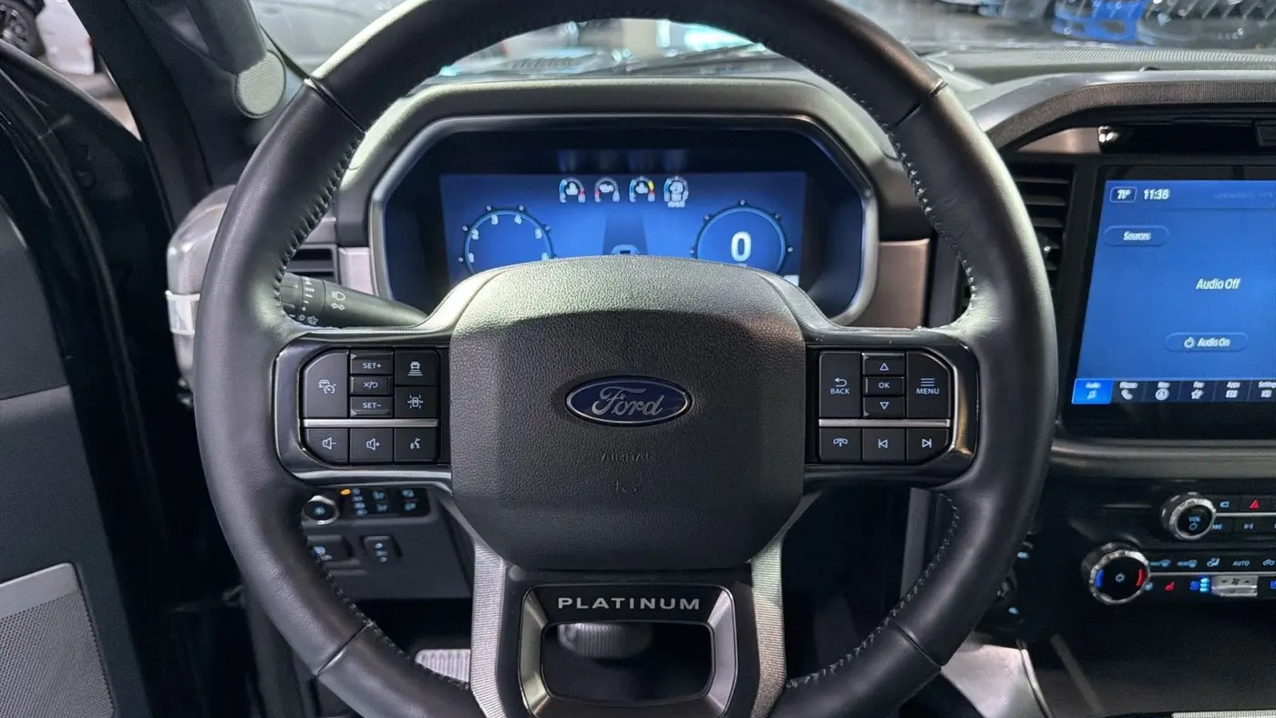2025 Ford F-150 Platinum