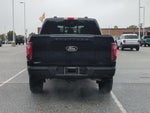 2025 F-150 Thumbnail 5