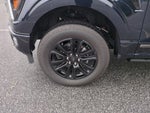 2025 F-150 Thumbnail 11