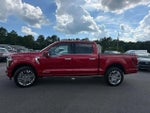 2024 F-150 Thumbnail 8