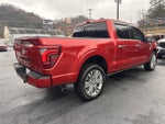 2024 F-150 Thumbnail 4