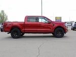2024 F-150 Thumbnail 6