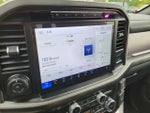 2024 F-150 Thumbnail 22
