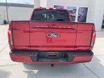 2025 F-150 Thumbnail 4