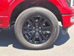 2025 F-150 Thumbnail 8