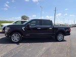 2025 F-150 Thumbnail 2