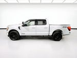2025 F-150 Thumbnail 23