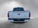 2025 F-150 Thumbnail 10