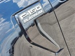 2025 F-150 Thumbnail 12