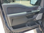 2024 F-150 Thumbnail 10