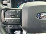 2025 F-150 Thumbnail 17