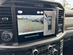 2025 F-150 Thumbnail 19