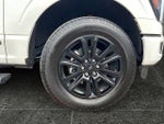 2025 F-150 Thumbnail 10