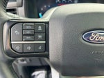 2025 F-150 Thumbnail 18
