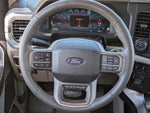 2025 F-150 Thumbnail 10