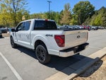 2024 F-150 Thumbnail 6