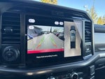 2025 F-150 Thumbnail 17