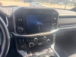 2025 F-150 Thumbnail 17