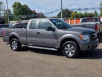 2013 F-150 Thumbnail 3