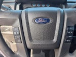 2013 F-150 Thumbnail 12