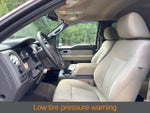 2010 F-150 Thumbnail 4