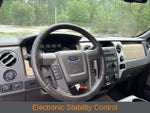 2010 F-150 Thumbnail 6