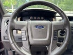 2010 F-150 Thumbnail 10