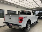 2021 F-150 Thumbnail 5