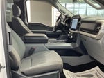 2021 F-150 Thumbnail 8