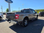 2019 F-150 Thumbnail 3