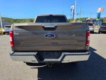 2019 F-150 Thumbnail 4