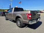 2019 F-150 Thumbnail 5