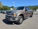 2019 F-150 Thumbnail 7