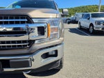 2019 F-150 Thumbnail 9