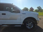 2019 F-150 Thumbnail 4