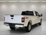 2019 F-150 Thumbnail 2