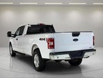 2019 F-150 Thumbnail 13