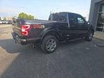 2019 F-150 Thumbnail 6