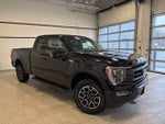 2021 F-150 Thumbnail 8