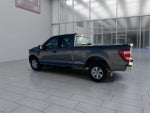 2023 F-150 Thumbnail 6