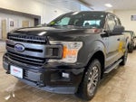 2018 F-150 Thumbnail 4