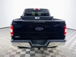 2020 F-150 Thumbnail 6